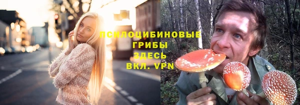 тгк Арсеньев