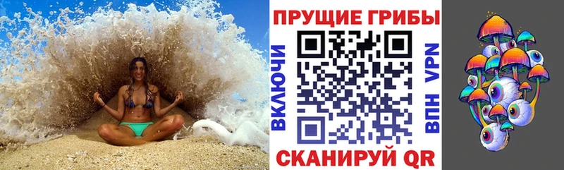 купить цена Сасово Псилоцибиновые грибы мухоморы
